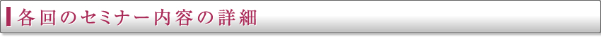 各回のセミナー内容の詳細